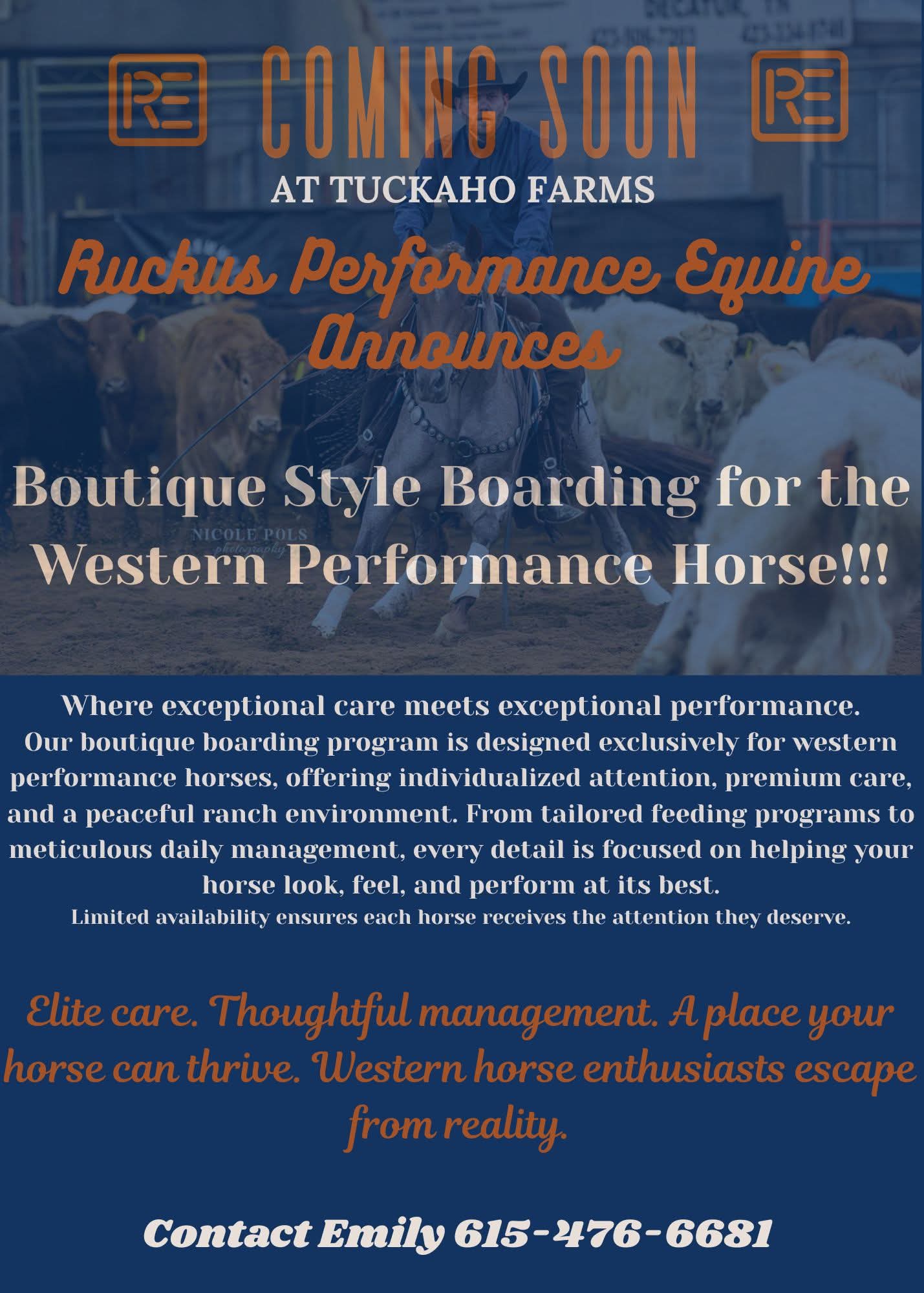Ruckus Performance Equine Boutique Boarding at Historic Tuckaho Farms