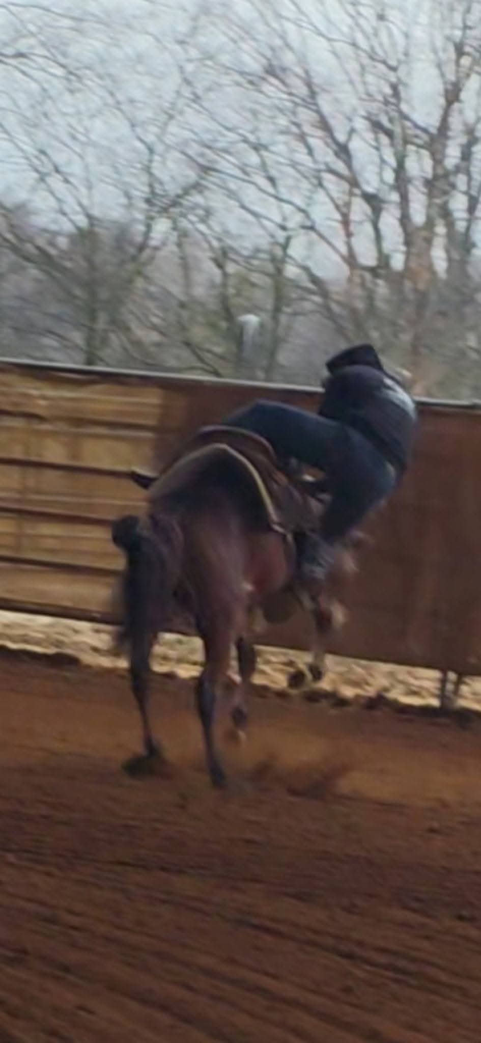 Isaac Nulton — Assistant Trainer, Ruckus Performance Equine