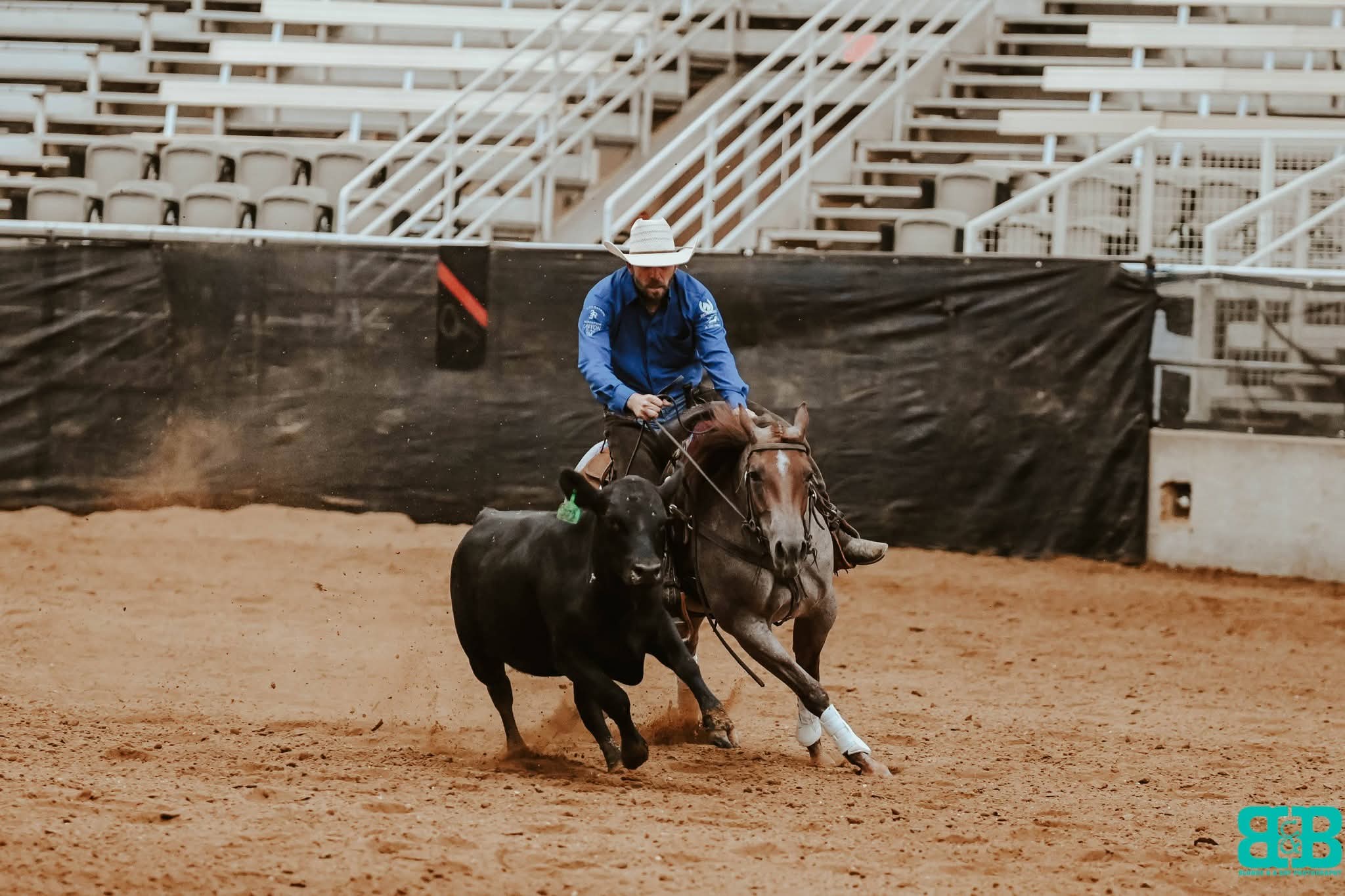 Josh Hasty reined cow horse fence work